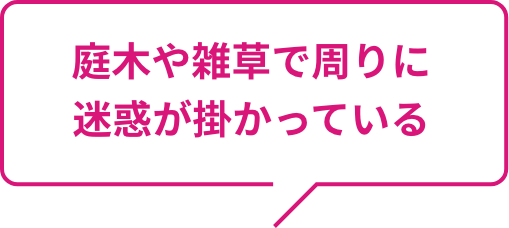 庭木や雑草で周りに迷惑が掛かっている
